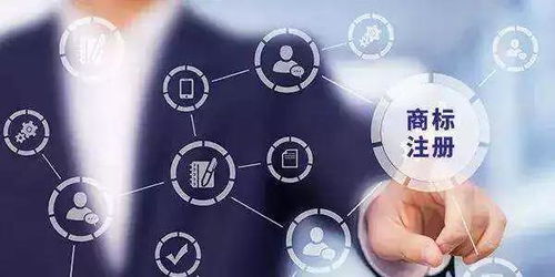 為什么軟件開(kāi)發(fā)必須注冊(cè)商標(biāo)？——保護(hù)創(chuàng)新與市場(chǎng)的雙重盾牌